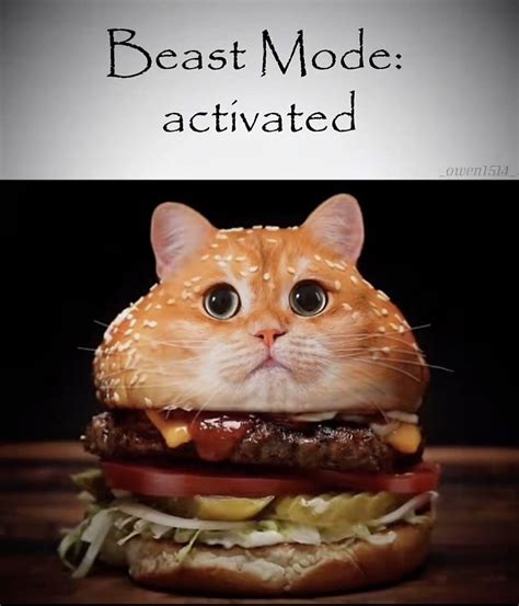 Image result for Cod Beast Mode