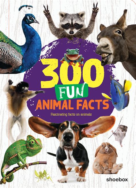 Image result for Shoebox Windows