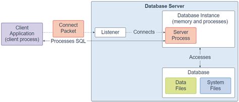 Image result for Oracle Server System