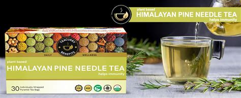 TEACURRY Himalayan Pine Needle Green Tea(1 Month Pack|100 Grams)-Helps ...
