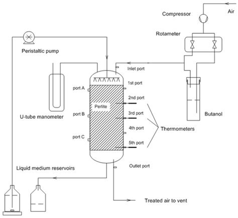 Biotrickling Filtration of Air Contaminated with 1-Butanol