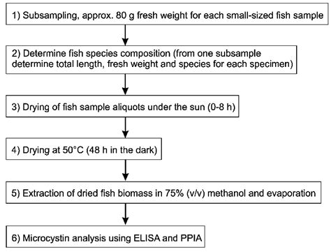 Microcystin Content in Phytoplankton and in Small Fish from Eutrophic ...