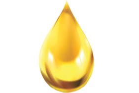 Capron Oil Management & Engineering Solutions Pvt. Ltd - Lubrication ...