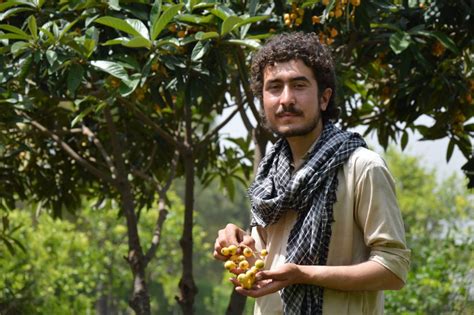 Climate change: Pakistan farmers say harvests are shrinking as spring ...