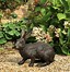 Image result for Bunny Sculpture