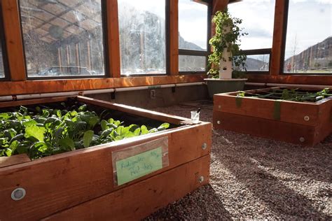 What S The Best Flooring For A Greenhouse at Jared Harper blog