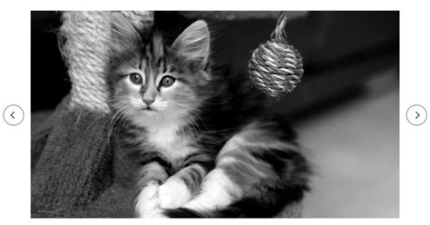 Image result for 3D Carousel Slider JavaScript