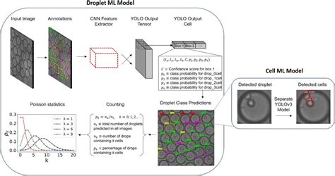 Image result for Microfludics Cell Encapsulation