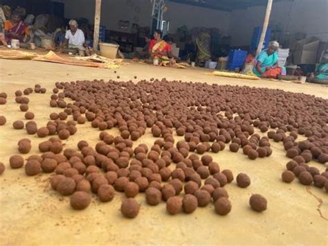 Plantable Seed Ball - Eco Friendly Seed balls Manufacturer from Avinashi