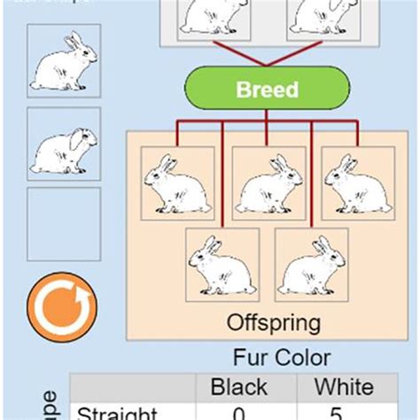 Virtual Lab Genetics 的图像结果