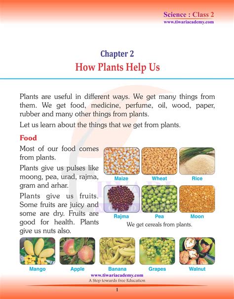 Image result for Class 2 Science Plant