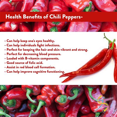 Chili Pepper Uses And Benefits at Anthony Cline blog