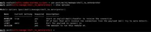 [Metasploit] Upgrading Normal Command Shell to Meterpreter Shell - Yeah Hub