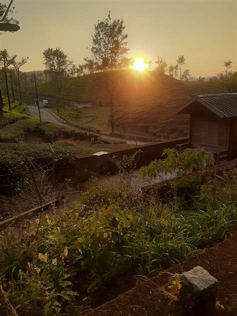BRIAR TEA BUNGALOWS - VALPARAI (Tamil Nadu) - Ranch Reviews, Photos ...