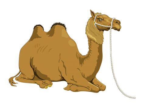 Camel Clipart Free Stock Photo - Public Domain Pictures