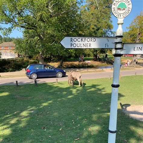 THE 10 BEST New Forest National Park Hampshire Hiking Hotels 2025 (with ...