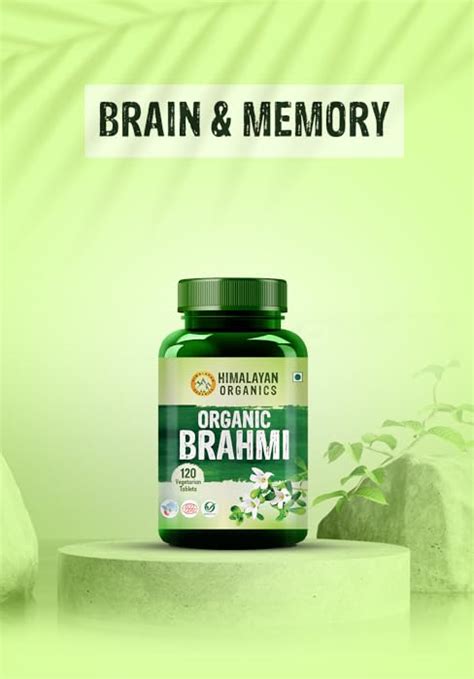 Vlado’s Himalayan Organics Ginkgo Biloba 500mg With Brahmi for Better ...