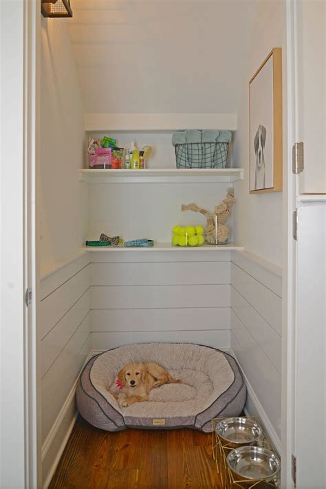 Dog Room Door Ideas at Jason Lyon blog
