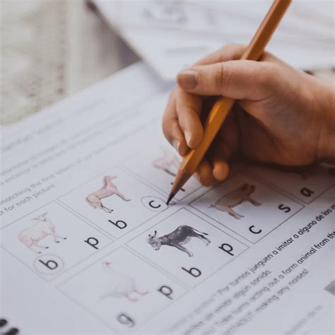 Should Your Kids be Learning Phonics in English and Spanish at the Same ...