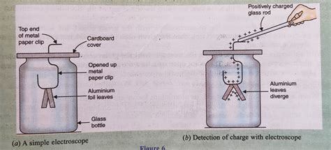 EDUNES ONLINE EDUCATION: 2021