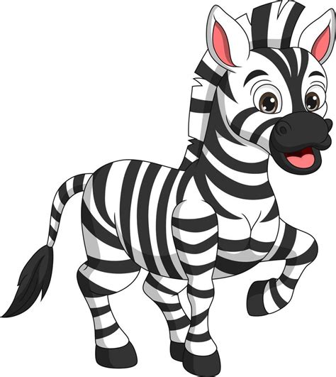 Image result for Zebra Cartoon