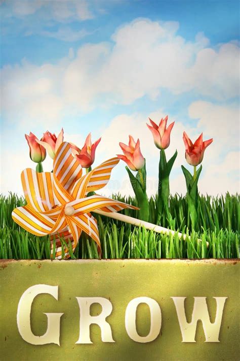 Springtime Fun 的图像结果