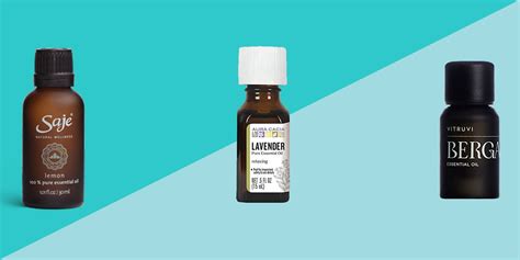Are Dogs Safe Around Eucalyptus Oil