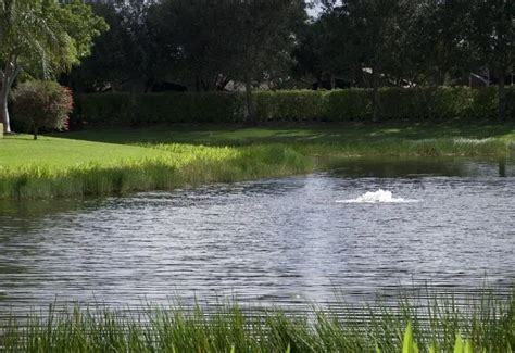 Image result for Catfish Farming Tips