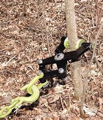 Tree Root Remover 的图像结果