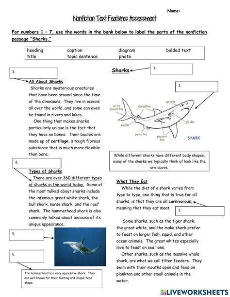 Image result for Nonfiction Text Features Worksheet