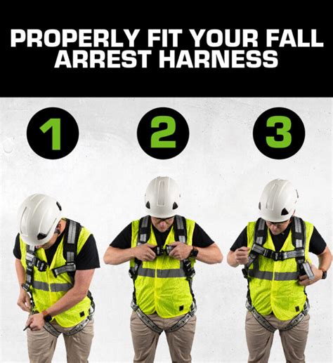 Image result for How to Use Fall Protection Harness