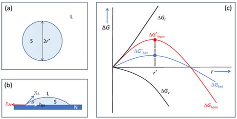 Heterogeneous Nucleation and Grain Initiation on a Single Substrate