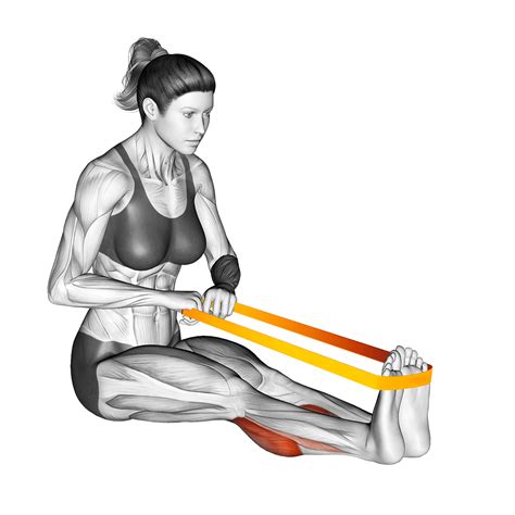 5 Best Soleus Exercises (with Pictures!): Grow Bigger Calves - Inspire US