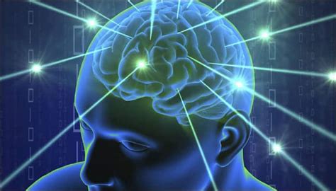 How humans got their bigger brains | Health News | Zee News
