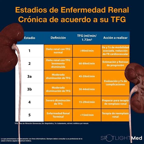 Insuficiencia Renal