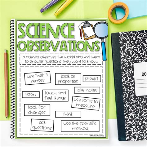 How to Make Observations in Science: Activities for Kids - Priceless ...