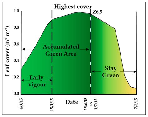Dissecting Wheat Grain Yield Drivers in a Mapping Population in the UK