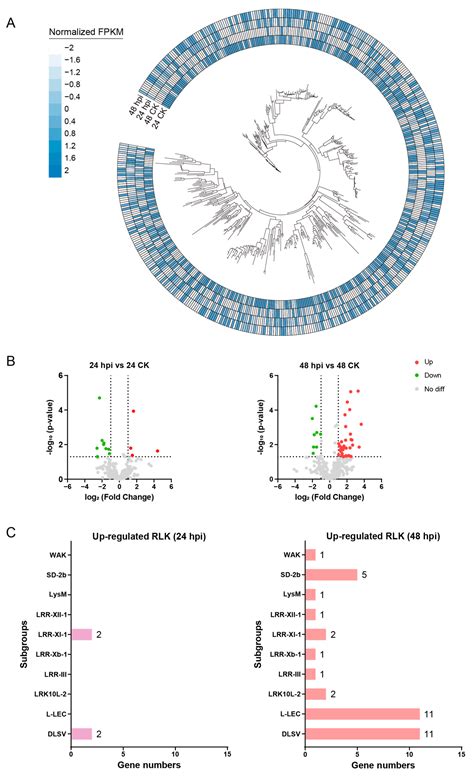 Genome-Wide Identification and Evolutionary Analysis of Receptor-like ...