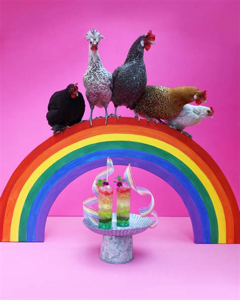 Rainbow Chickens