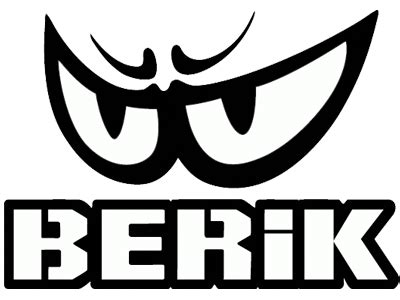BERIK强势回归，开启2.0全新时代！_搜狐汽车_搜狐网