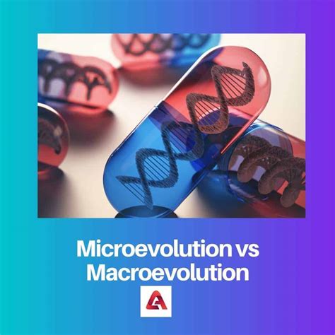 Microevolution vs Macroevolution: Difference and Comparison