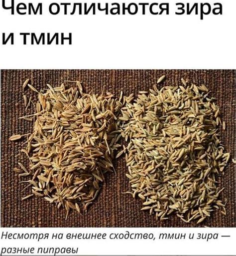 Чем отличается тмин и зиры? | В чем разница