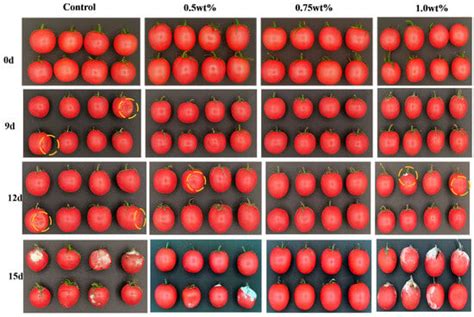 Preparation of Fresh-Keeping Paper Using Clove Essential Oil through ...