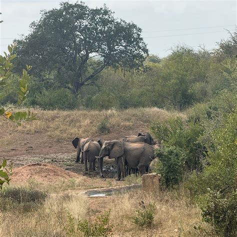 RAPTOR RETREAT GAME LODGE (Hoedspruit) - Lodge Reviews, Photos, Rate ...