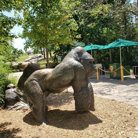 Oklahoma City Zoo: Information, Tickets and Reviews