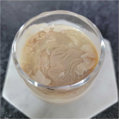 Cement Mixer Shot Video at Darcy Sunderland blog