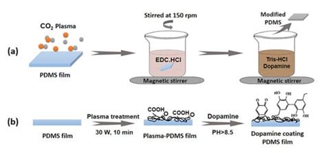 Improving Hydrophilicity and Adhesion of PDMS through Dopamine ...