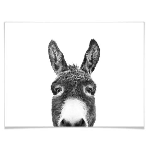 Poster Sisi & Seb - Donkey | wall-art.com