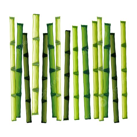 Bamboo Stick Clipart