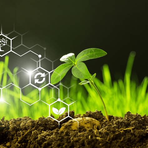 Nilkanth Group | Pharmaceutical Intermediates Manufacturers